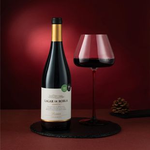 「瞎喝」西班牙口粮酒12个月桶拉加罗布拉酒庄干红葡萄酒年货送礼