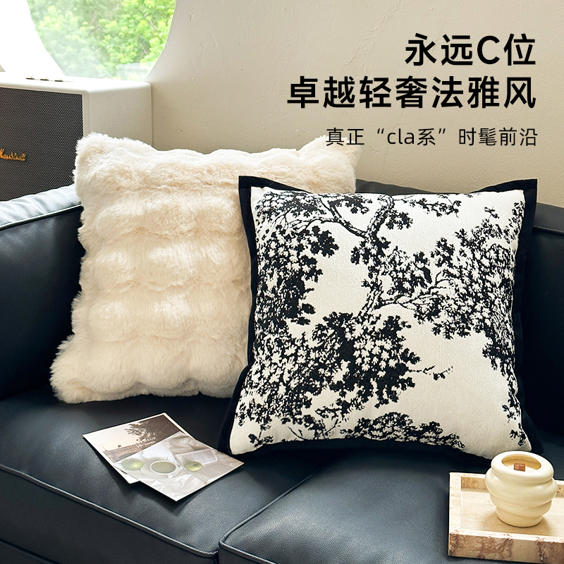 新款法式抱枕不含芯毛绒秋冬靠枕沙发客厅腰枕套轻奢高级感靠背垫