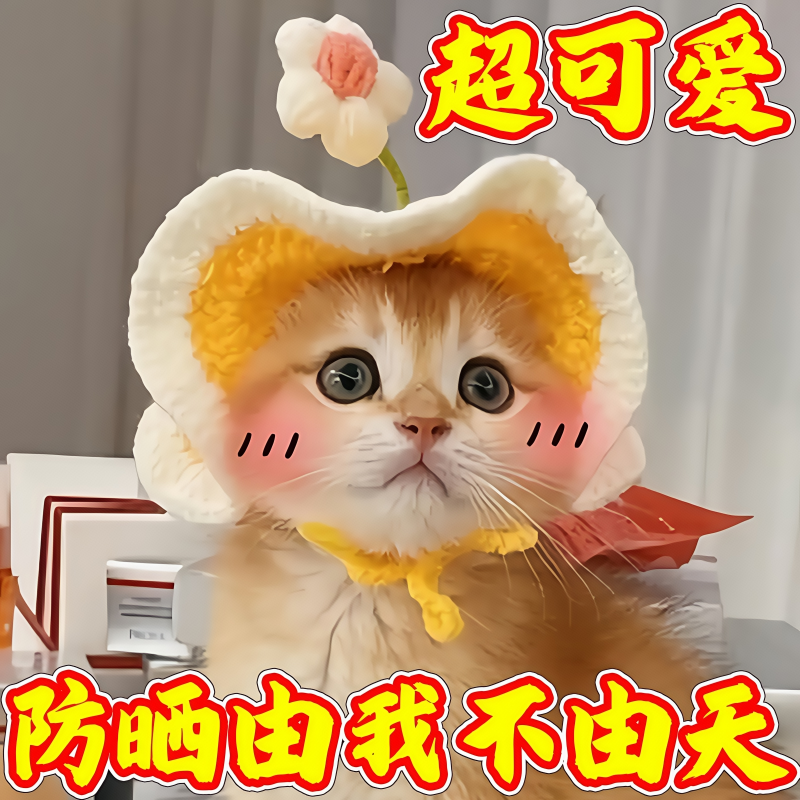 小花朵宠物帽子洛丽塔女仆英短猫咪头套波浪帽檐狗狗头套帽子牙粉