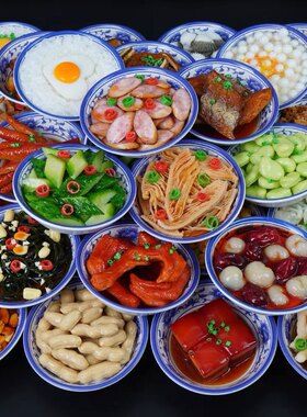 拍摄道具食物模型食物模型假菜