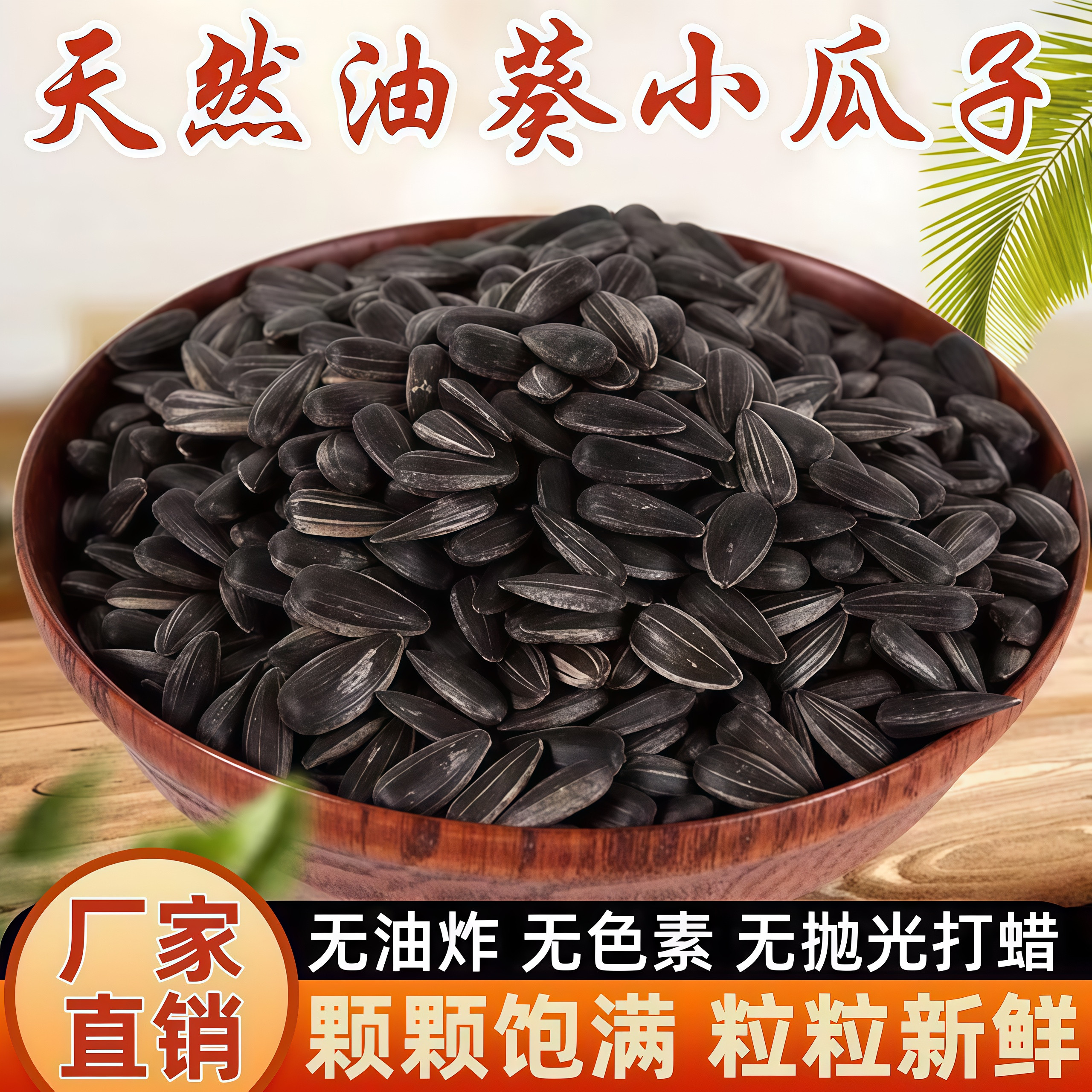 内蒙古秋乡黑珍珠油葵瓜子零食
