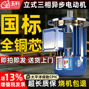 1.5 1.1 2.2 5.5KW电机380V三相 立式 全铜三相异步电动机0.75
