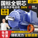 玉豹纯铜三相异步电动机安全稳定高效运行国标全铜芯电机380V三相