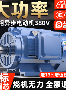 三相异步电动机 11/15/18.5/22/30/37/45/55KW 全铜国标 380V电机