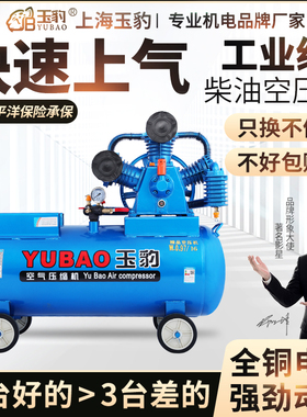 柴油机空压机工业级高压流动补胎大型汽修8p10p12p打气泵真石漆