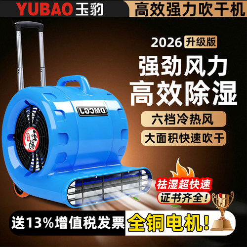 吹地机超大功率地面吹干机商用吹风机家用卫生间厕所强力除湿除臭