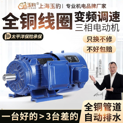 玉豹变频调速电动机厂家直销