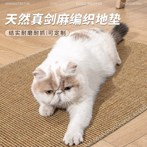 入户进门地垫天然剑麻猫抓垫定制