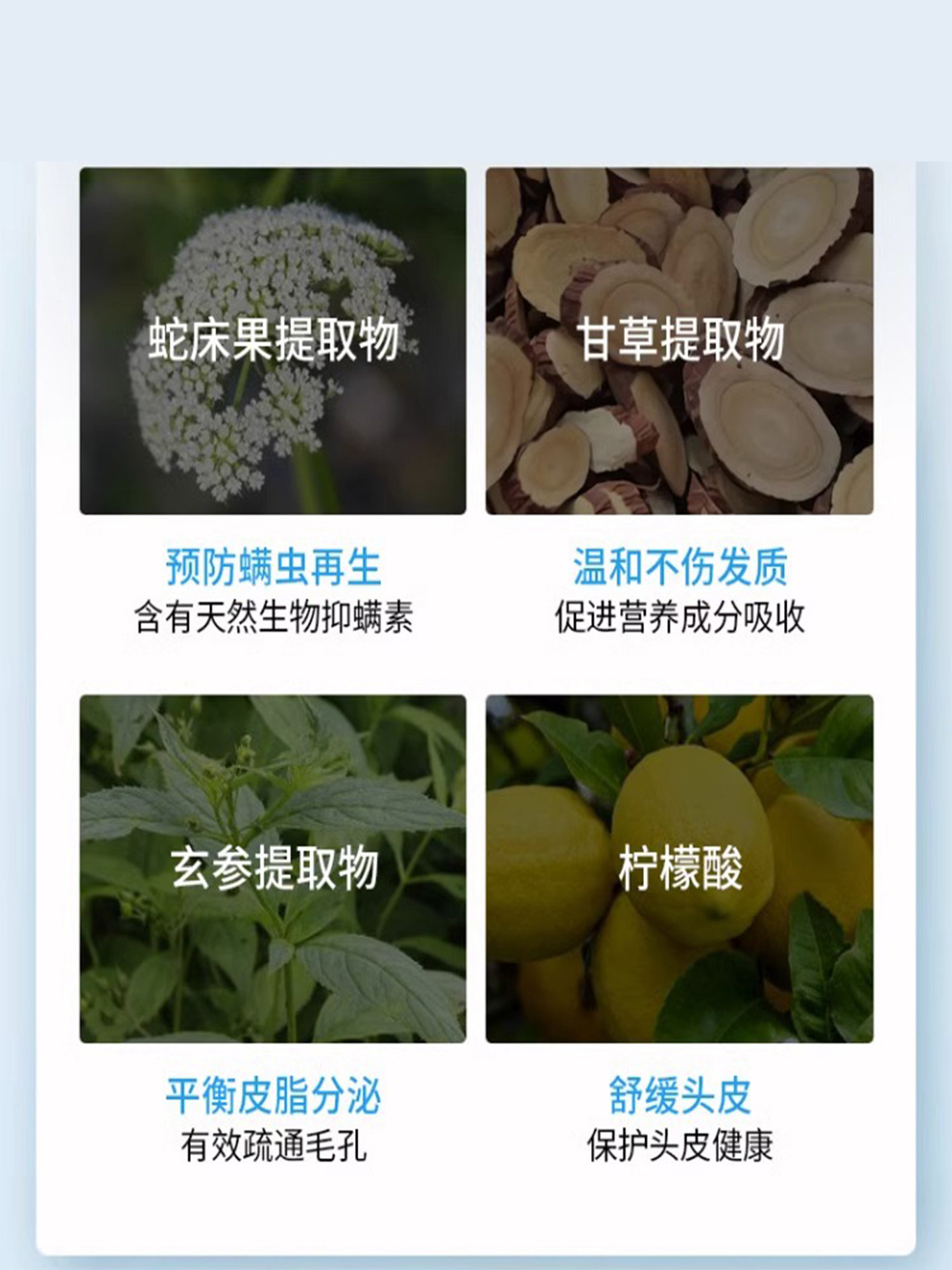 Tong Ren Tang amino Acid MAO Yan Ning Shampoo can remove mites, acne, dandruff, relieve itchy scalp, control oil and make hair fluffy thumbnail 6