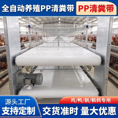 PP清粪机专用自动输送带加厚耐磨