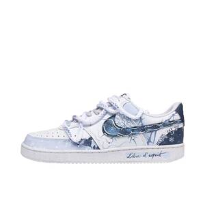 【定制球鞋】 Nike Court Vision 1 板鞋  极北雪境 DH2987-101