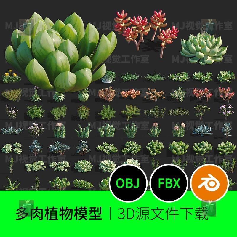 多肉植物盆栽花卉观赏3D模型建模素材blender FBX OBJ下载三维645