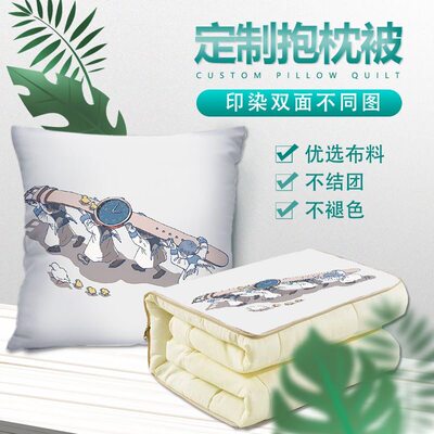 照片毯子汽车抱枕被定制车用空调被定制枕头抱枕毯定制被子图案