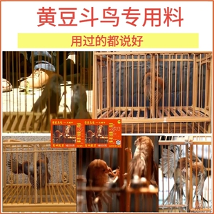 黄豆鸟专用饲料 黄豆鸟食饲料 黄腾鸟食 斗鸟打鸟食提性壮膘500克