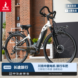 凤凰后10速铝合金中置电机长途旅行电助力自行车油碟刹电动车单车