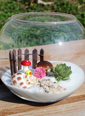 创意圆形玻璃鱼缸 微景观苔藓生态玻璃瓶 水培、多肉植物花器