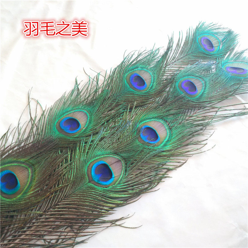 纯天然真孔雀羽毛翎尾大眼睛diy饰品家居摆设客厅婚庆花瓶装饰品