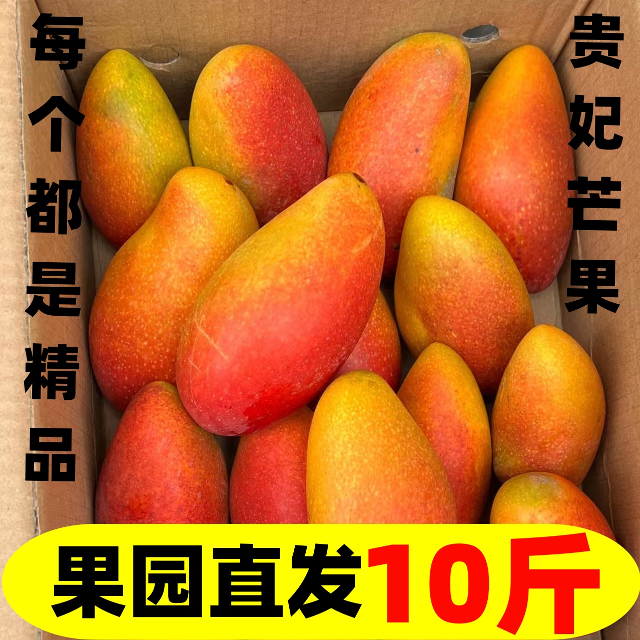 海南贵妃芒果9斤新鲜应当季热带水果大芒果红金龙甜心包邮10