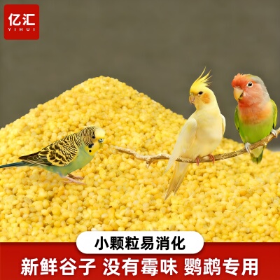 鸟粮带壳黄谷子鹦鹉粮专用