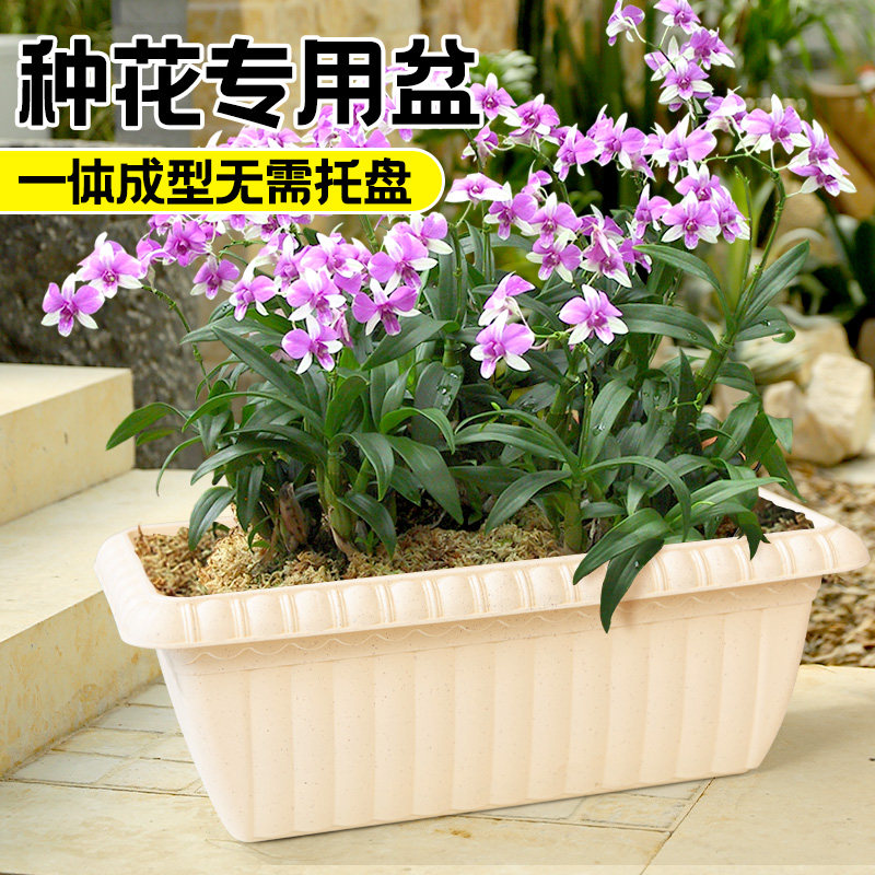 长方形花盆塑料特大号阳台种花种菜专用盆懒人自吸水透气水仙草莓