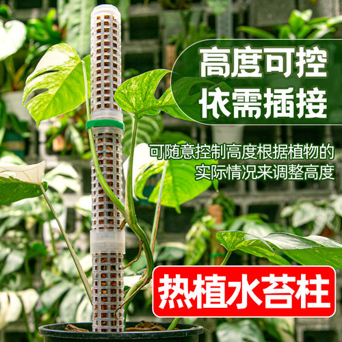 造园记水苔柱可拼接支撑柱