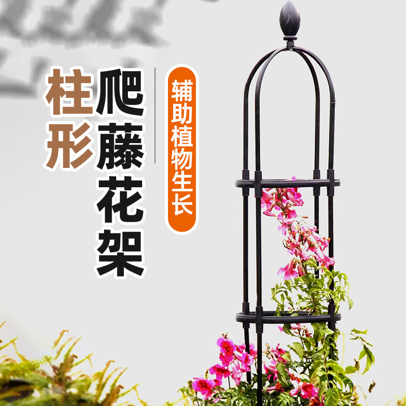 铁线莲爬藤架月季花架子花柱支撑杆蔷薇固定户外庭院藤本植物盆栽