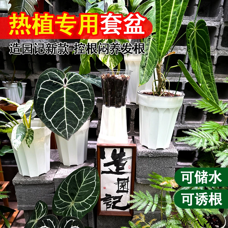 龟背竹套盆热植专用透明花盆蝴蝶兰兰花花烛控根加厚家用塑料透气,鲜花速递/花卉仿真/绿植园艺,花盆,淘宝优惠券,粉丝福利购,淘宝优惠卷