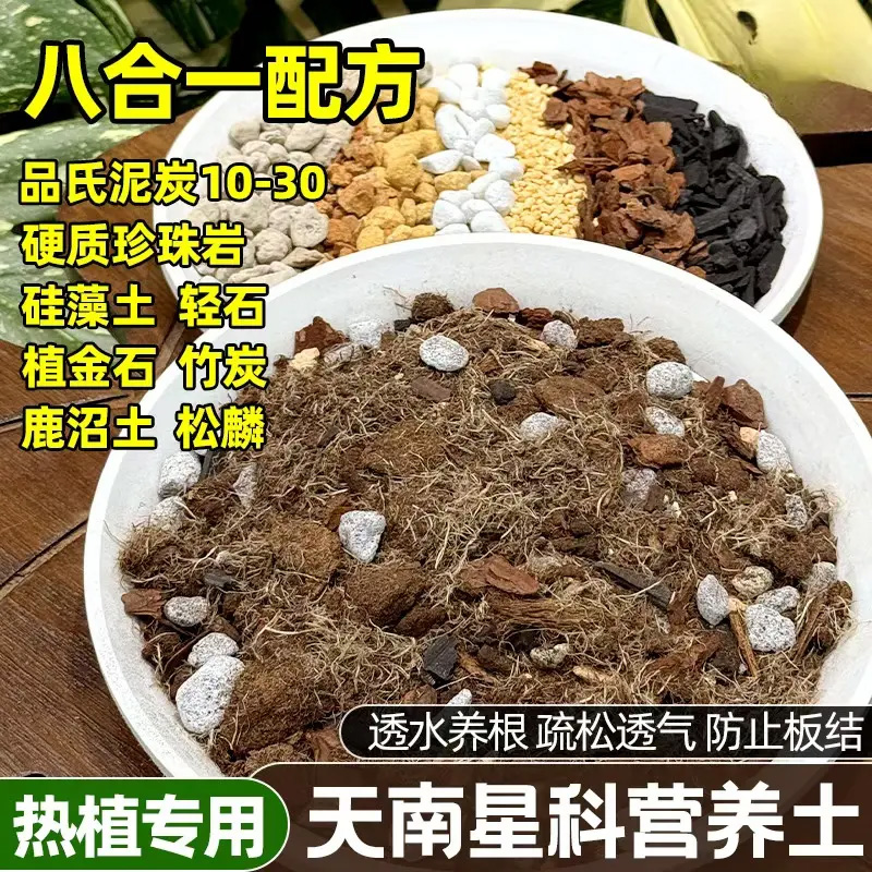 南天星植物专用土龟背竹专用土