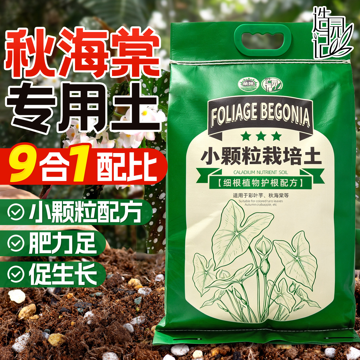 造园记秋海棠专用营养土图片