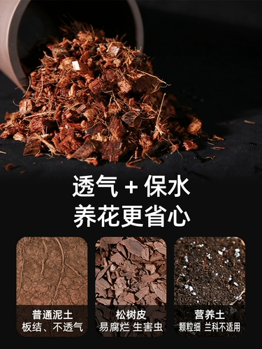 Орхидея почва Специальное кокосовое кокосовое кокосовое питание для домохозяйства питание почвы питательное фалаенопсис Универсальный опреснительный кокосовый кокосовый кирпич.