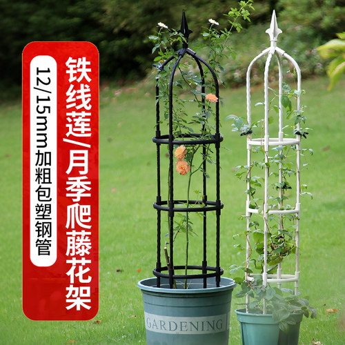 植物U型月季铁线莲爬藤架钢管