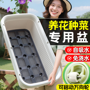 阳台种菜盆专用箱专用盆室外花盆长方形懒人种植盆家用大号蔬菜盆
