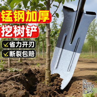 挖树铲铁锹挖土神器园艺工具锰钢农具家用挖洞种菜专用铲子挖坑