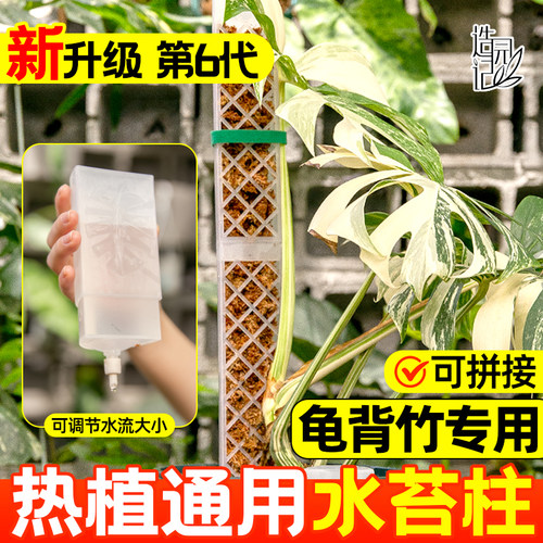 龟背竹热植水苔柱加厚自动滴水