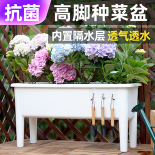 高脚种菜盆长方形阳台专用盆塑料家用蔬菜种植神器 种菜盆大号新款