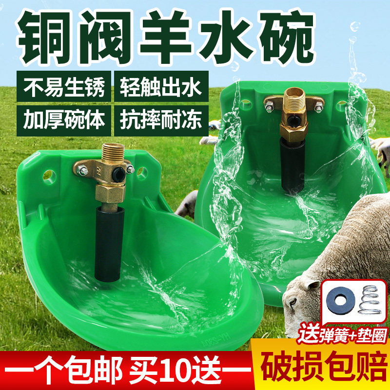 羊用饮水碗塑料羊饮水器喂水喝水神器水碗养羊设备羊用自动饮水器
