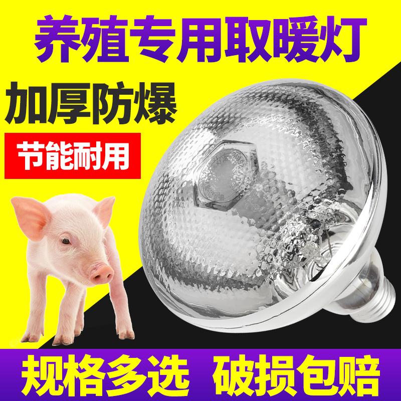 兽用仔猪保温灯养殖场专用保温灯