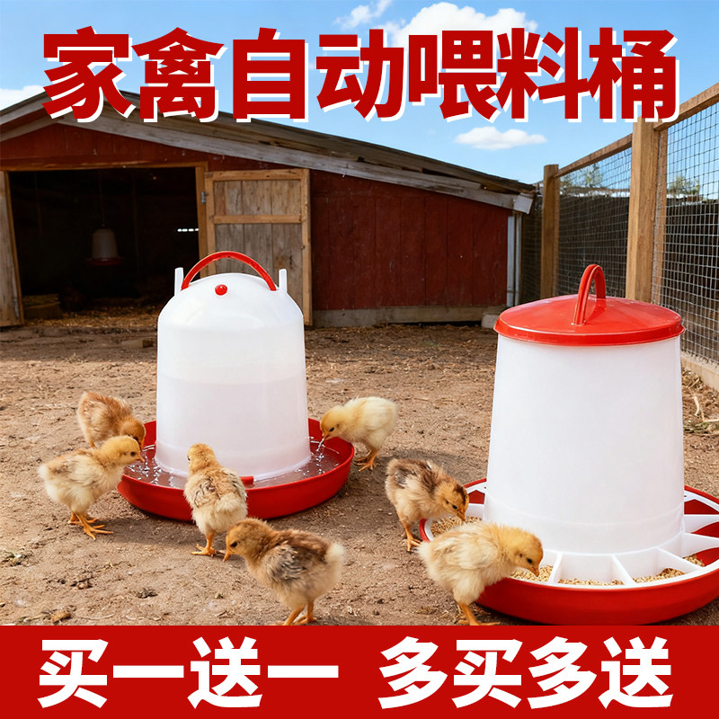 鸡食槽鸡鸭鹅自动喂食饮水器料筒水桶喂鸡养鸡神器小鸡家禽喂食器
