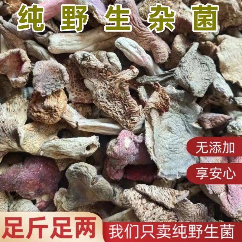 野生菌干货蘑菇干杂菌菇四川特产野山菌红菇青头菌组合农家干菌子