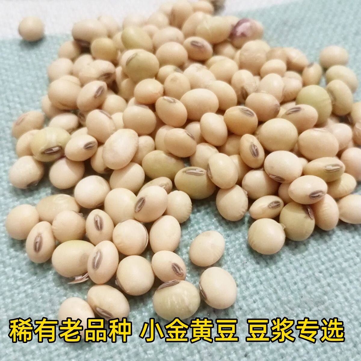 四川巴中特产黄豆农家自种老品种打豆浆专用农家黄豆非转基因