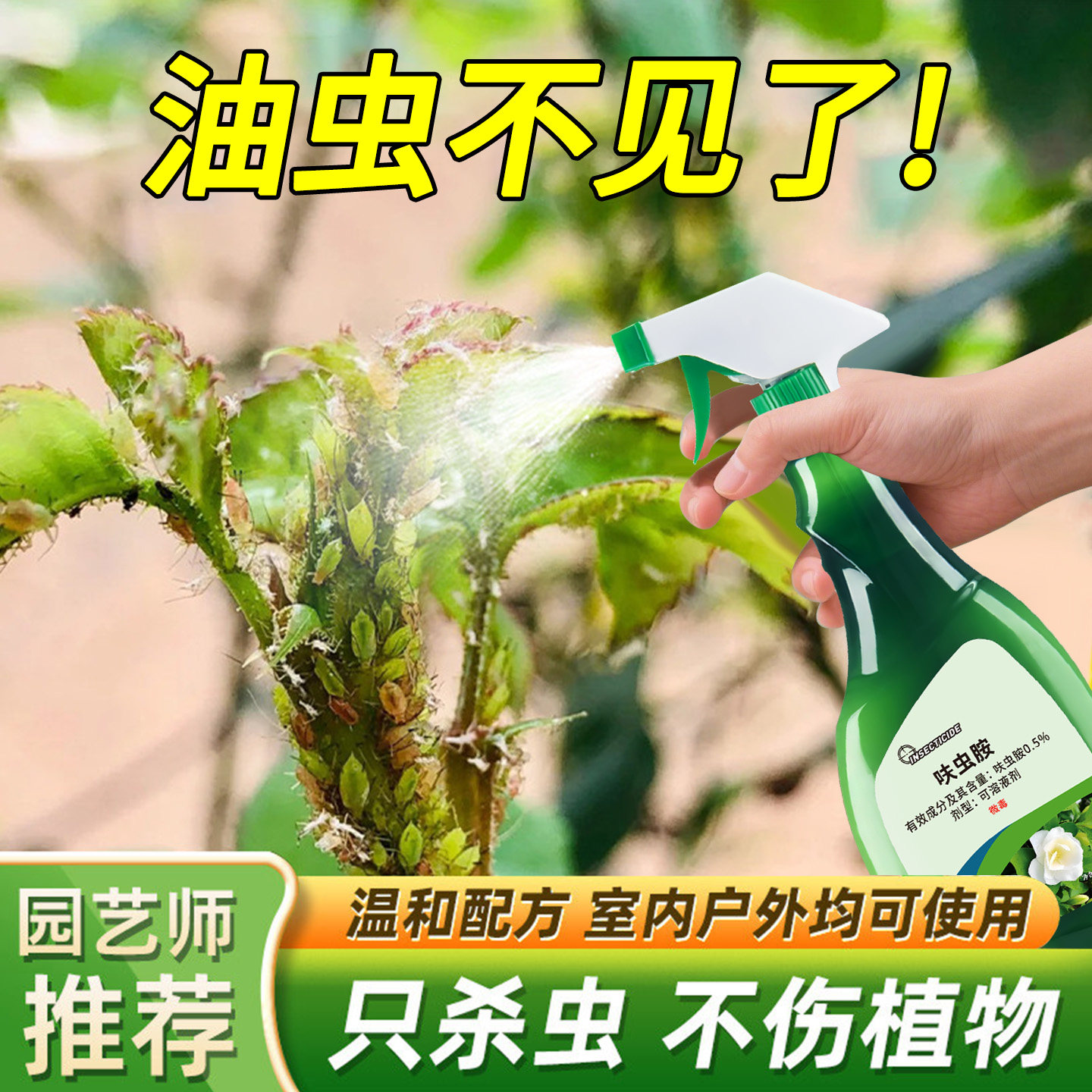 油虫药杀治打油虫的药灭除腻虫蜜虫蚜虫驱油汗虫药防油粘虫杀虫剂