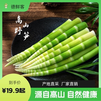 德鮮客當(dāng)季高山脆嫩鮮嫩袋裝野筍