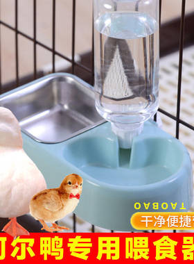 柯尔鸭喂食器自动饮水器小鸭子小鸡食盆碗饲料盒喂宠物芦丁鸡水壶