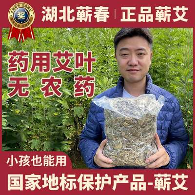 湖北蕲艾叶干艾草散装家用泡脚哎叶去湿气宝宝艾嵩草泡澡哎草