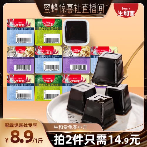 广东江门生和堂龟苓膏即食