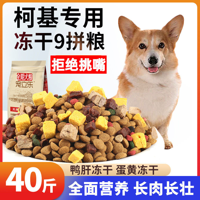 柯基犬专用狗粮幼犬成犬通用型40斤装20kg冻干鸭肝牛肉粒蛋黄粒