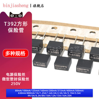 392方形电源保险丝T1A 2A 2.5A 3.15A 4A 5A 6.3A-20A保险管250V