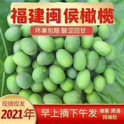 福建闽侯新鲜青橄榄果1斤现摘水果包邮当季整箱青果孕妇煲汤泡茶