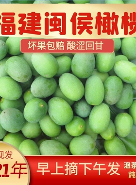 福建闽侯新鲜青橄榄果1斤现摘水果包邮当季整箱青果孕妇煲汤泡茶