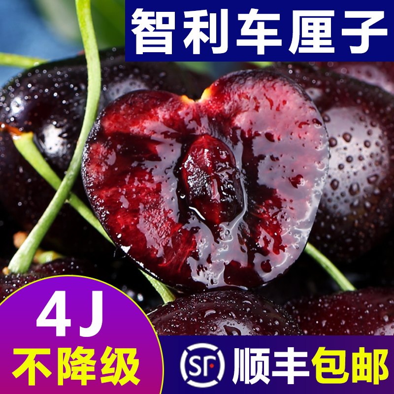智利进口车厘子3斤水果新鲜孕妇水果脆甜大樱桃当季整箱顺丰包邮